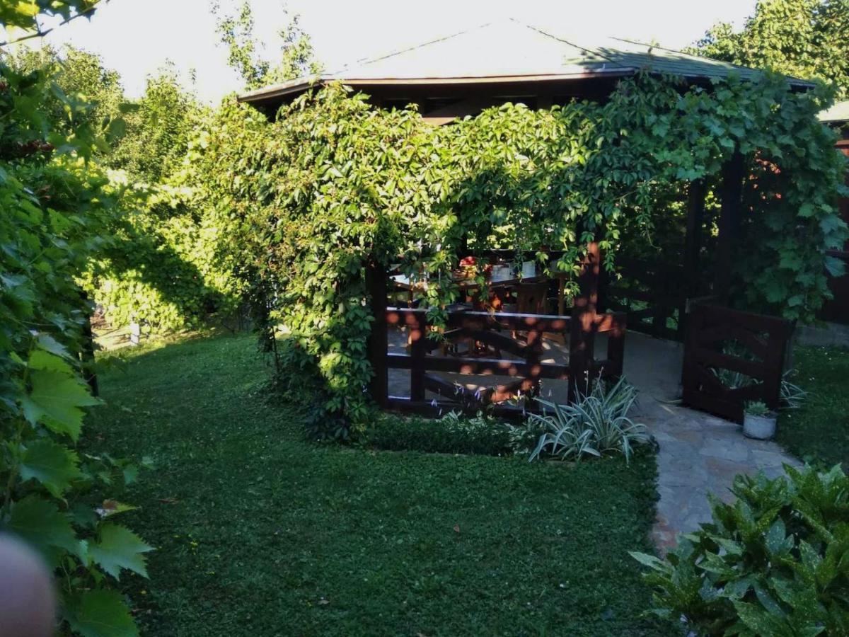 Apartmani Zapis Vrdnik Exterior photo