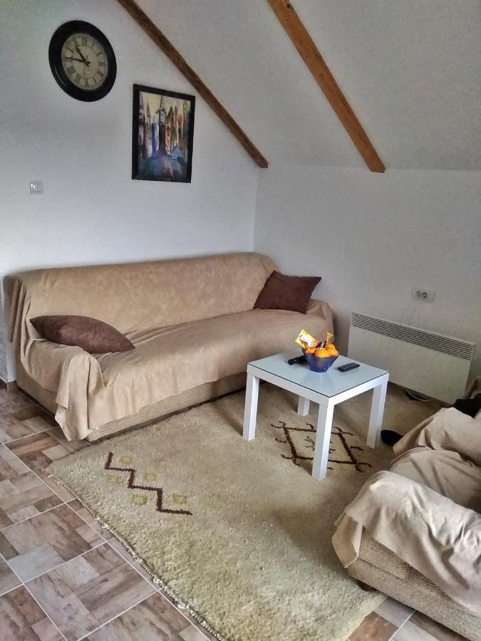 Apartmani Zapis Vrdnik Exterior photo