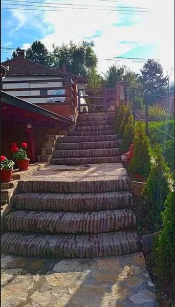 Apartmani Zapis Vrdnik Exterior photo