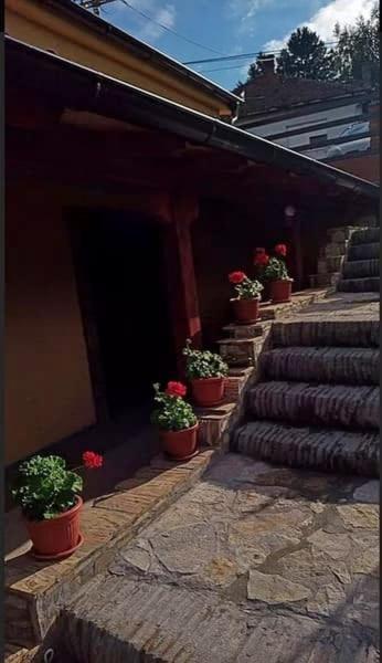Apartmani Zapis Vrdnik Exterior photo