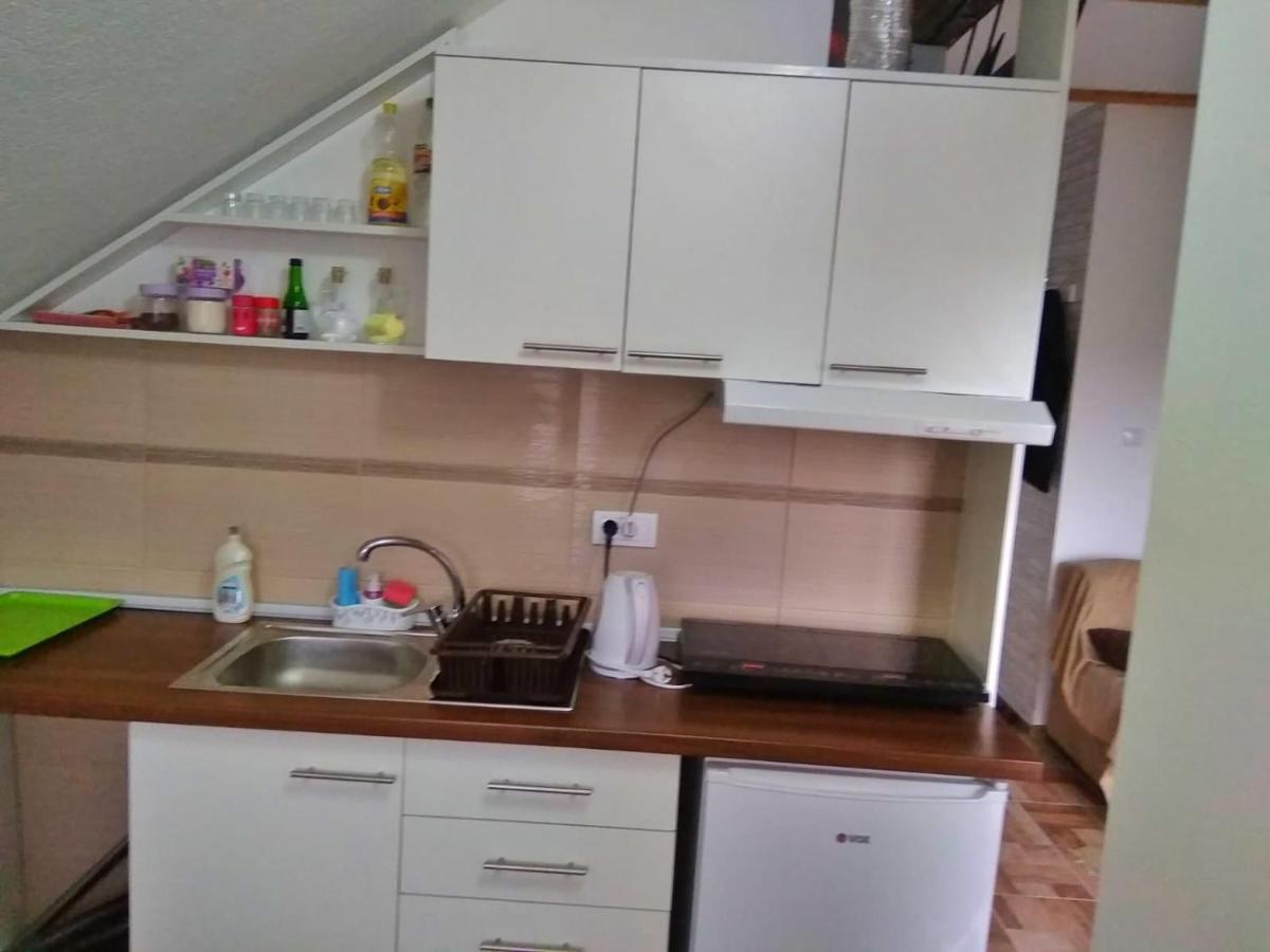 Apartmani Zapis Vrdnik Exterior photo